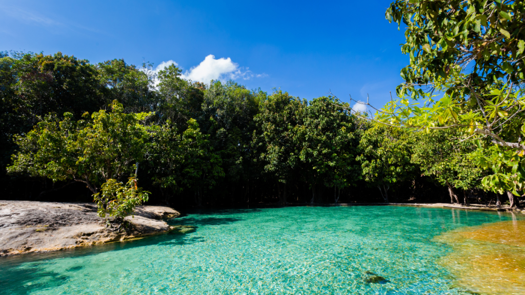 Gorgeous aquamarine waters amid jungle foliage at the Emerald Pool in Khlong Thom, Krabi